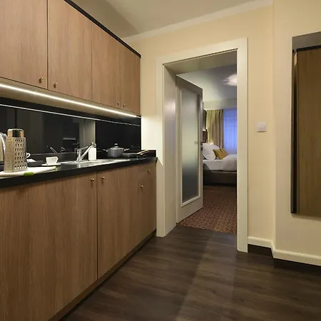 Hotel Vysocina Design 3*