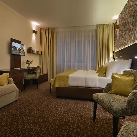 Vysocina Design 酒店 赫林斯科