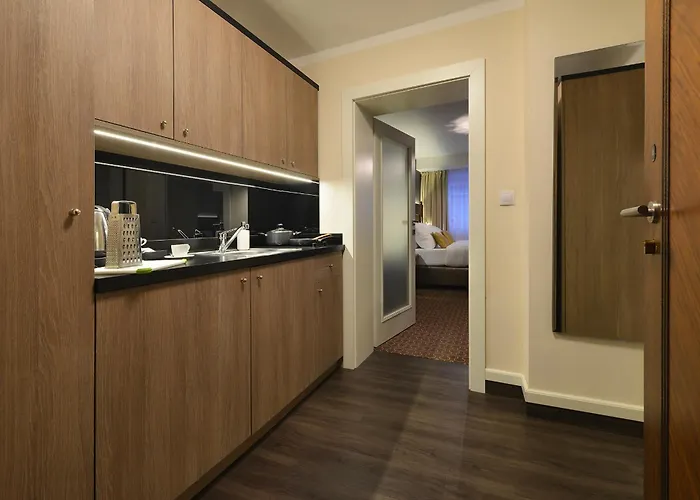 Отель Vysocina Design 3*