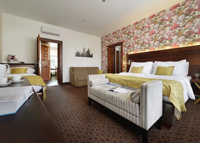 Отель Vysocina Design 3*